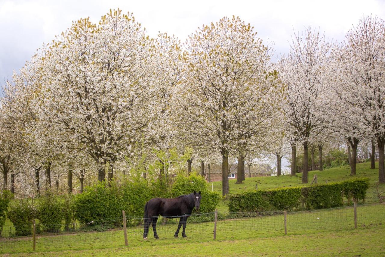 Sibbliem Luxury Homestay Valkenburg aan de Geul ภายนอก รูปภาพ